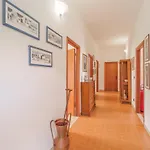 Apartamento Casa Fiorella A -goelba